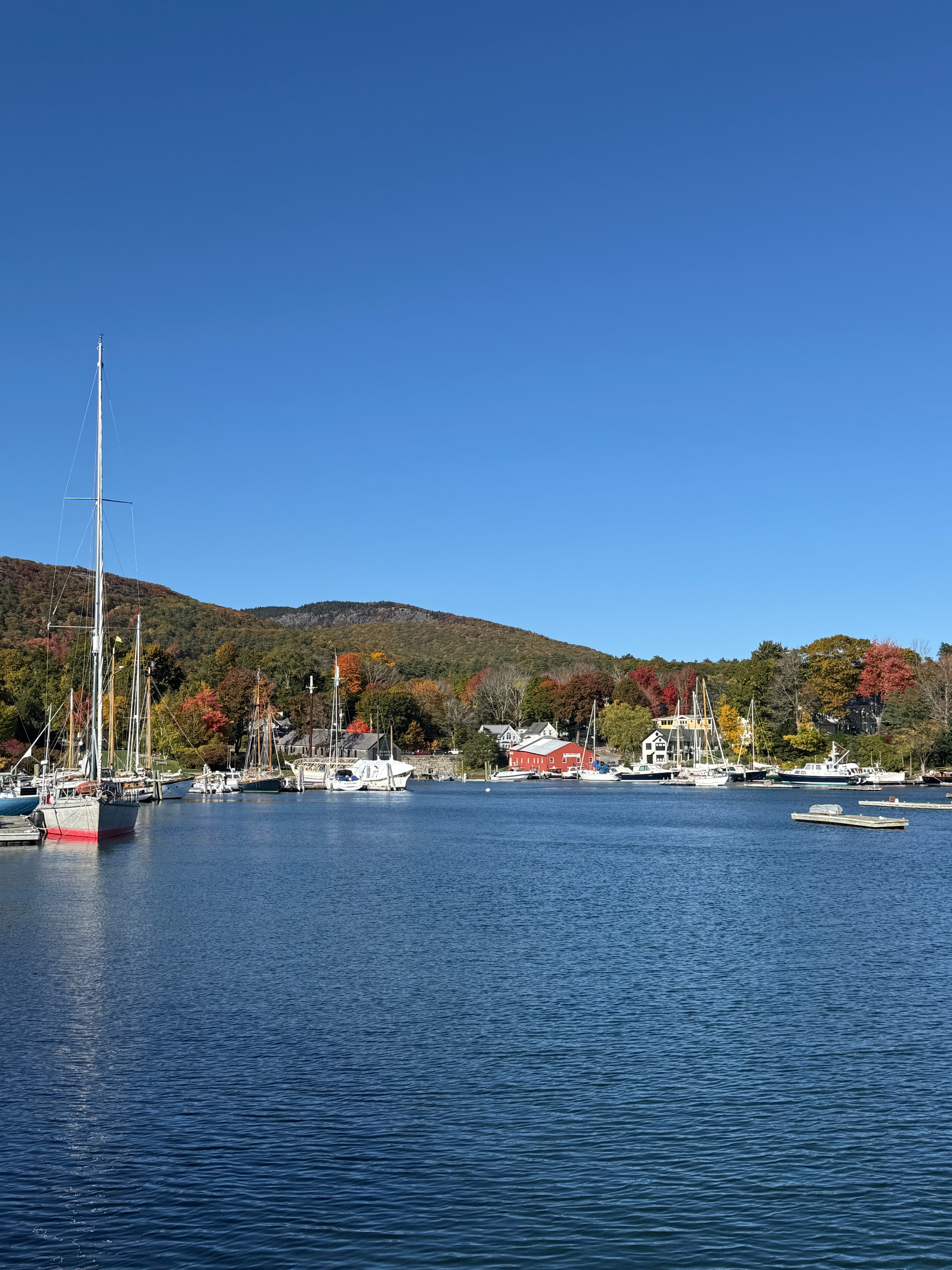 A tranquil harbor scene with sailboats and colorful autumn foliage under a clear blue sky.